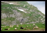 Durmitor - Zabljak -30-06-2013 - Bogdan Balaban
